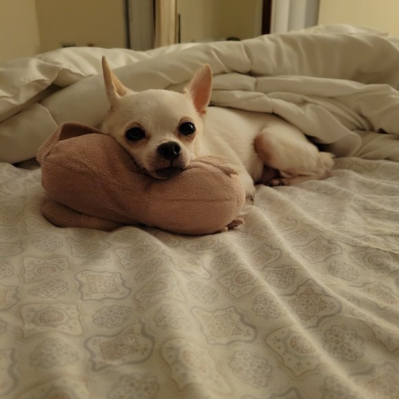 Meet your Posher, Pamela 🩷🥞 - Picture 5 of 13